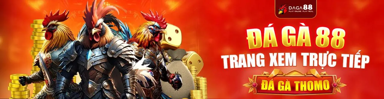 Hình ảnh hero về bảo mật dữ liệu và quyền riêng tư trực tuyến của PT888