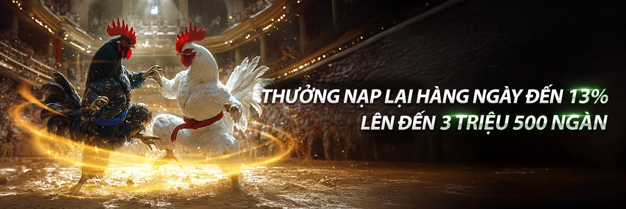 Đồng hành cùng PT888
